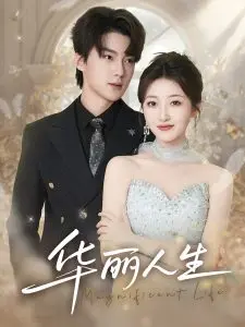 《华丽人生》:重塑经典的艺术之作,探索生命的意义