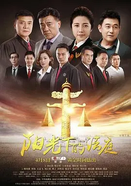 《阳光下的法庭》:正义与良知的较量,当法律遭遇道德困境 | 影评推荐